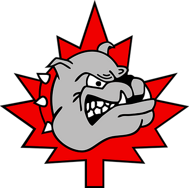 Main Logo